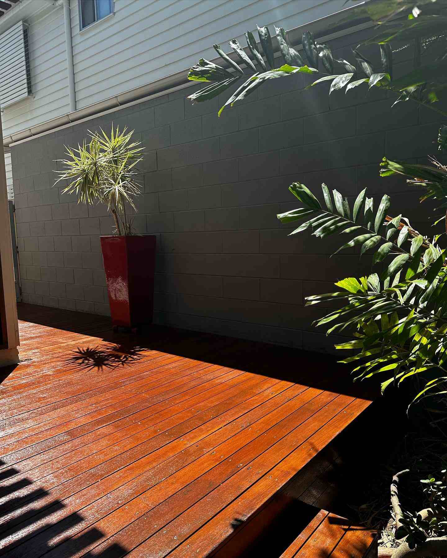 Oiled timber deck corner with a red pot plant and palms beside a grey wall