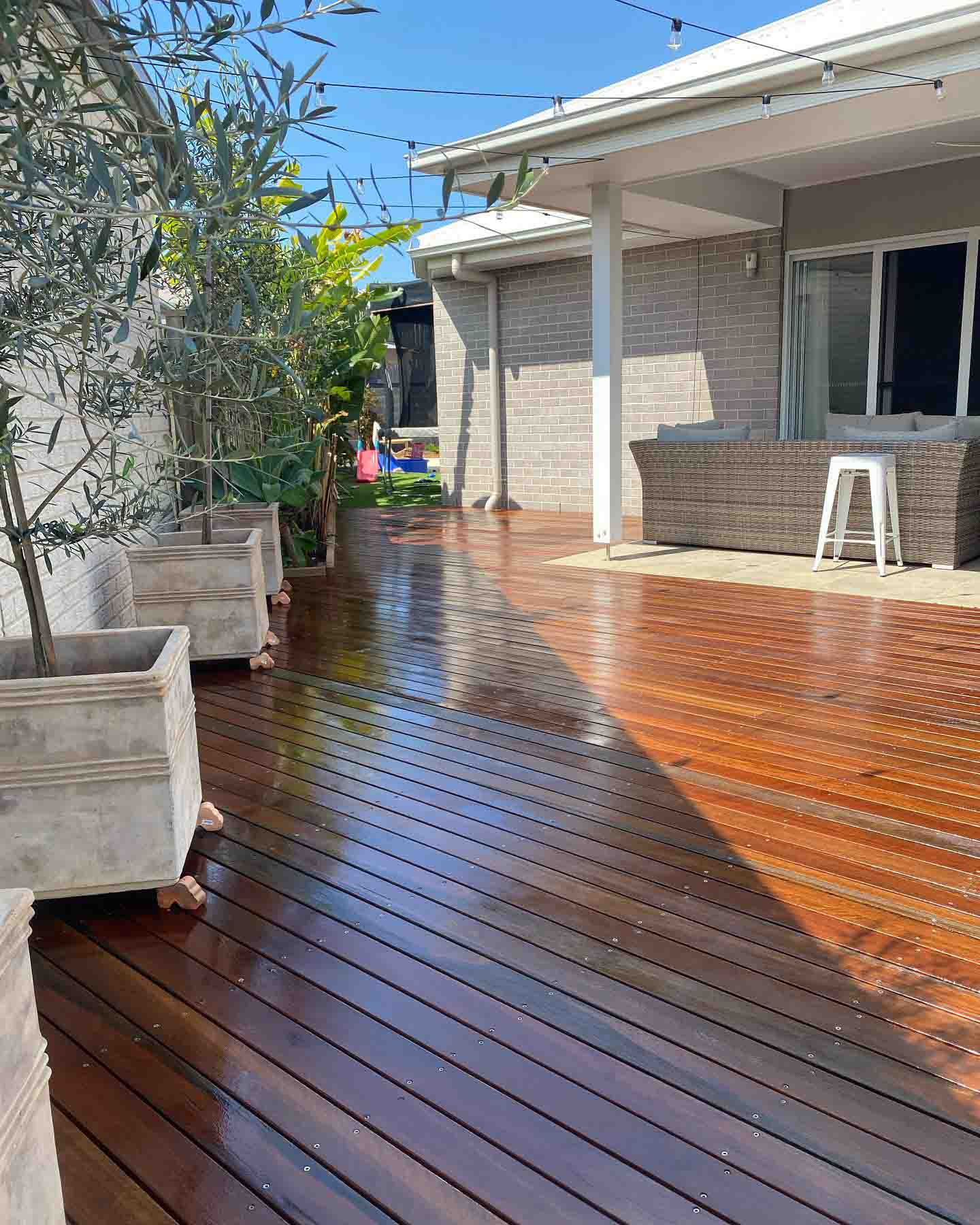 Wet oiled timber deck with an outdoor lounge and olive trees in planters