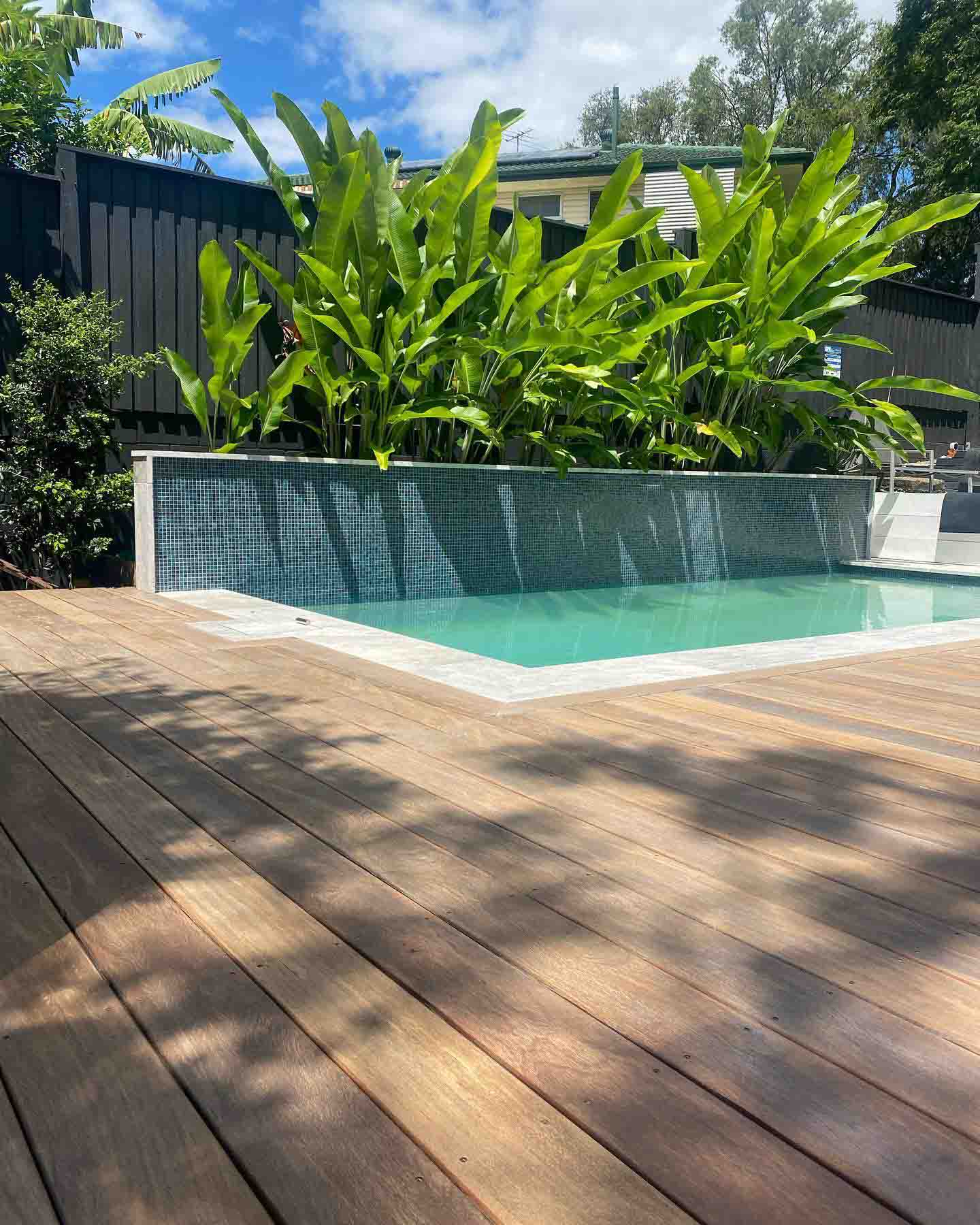 Timber deck beside a pool with a tiled feature wall and tropical plants