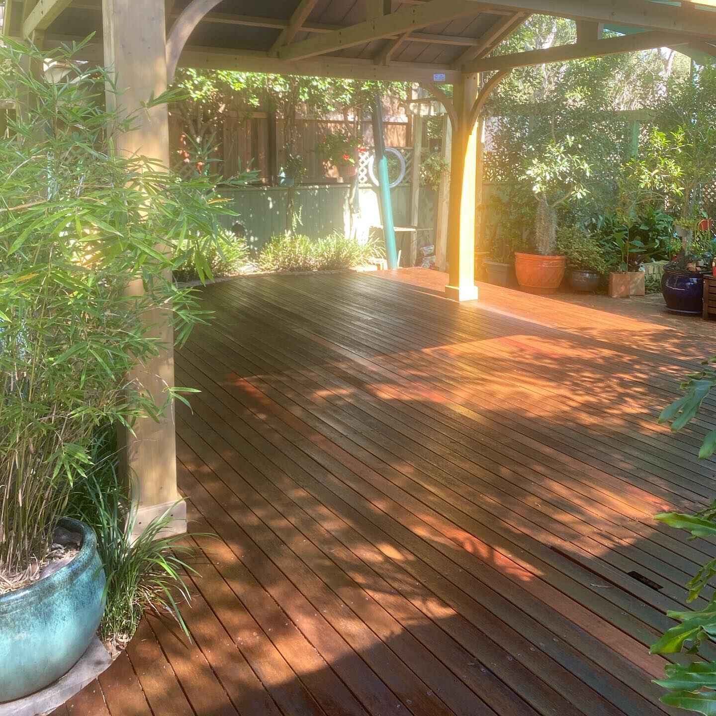 Oiled timber deck under a timber pergola with potted plants