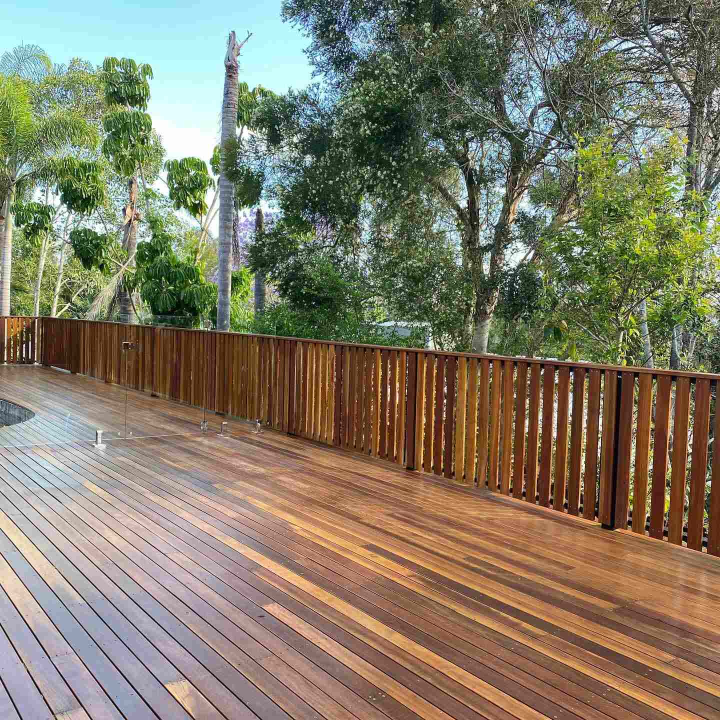 Freshly oiled timber deck with timber picket balustrade among tall trees