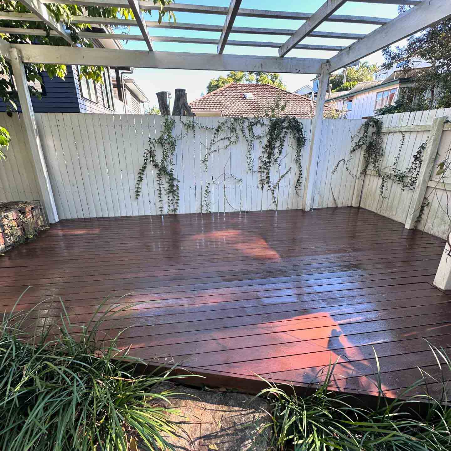 Oiled timber deck under a white pergola with a white fence and hanging creepers