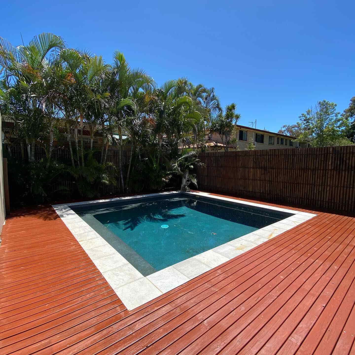 Red-toned oiled timber deck around a square plunge pool with bamboo screening