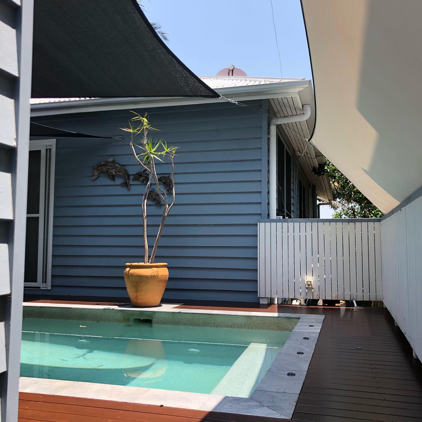 Oiled timber deck around a plunge pool beside a blue weatherboard house