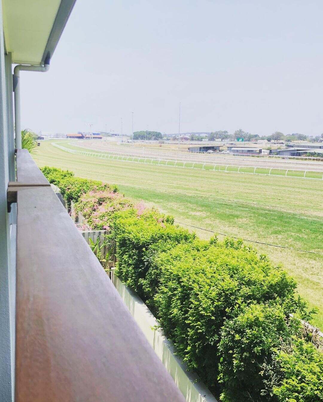 Oiled timber balcony handrail overlooking a racecourse